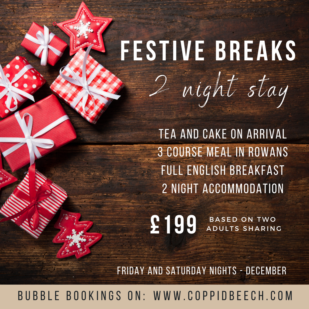 Festive Breaks